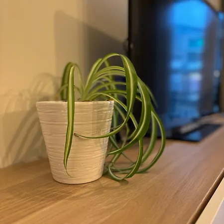 Ruytingen Modern Seaside Appartement *