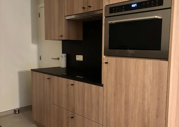 Ruytingen Modern Seaside * Coxyde