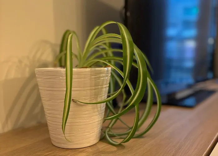 Ruytingen Modern Seaside Appartement *