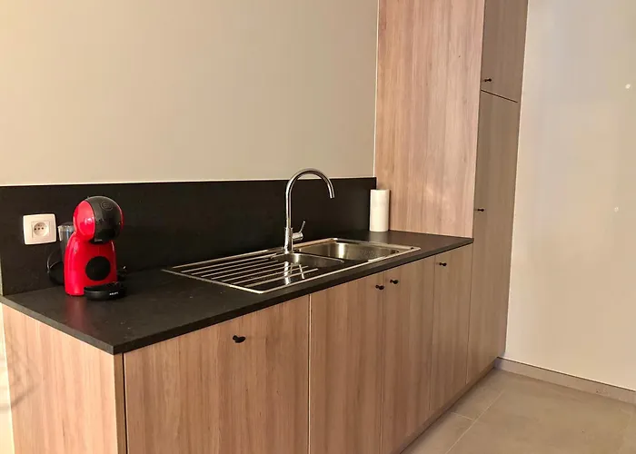 Appartement Ruytingen Modern Seaside Coxyde